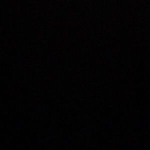 Meet your Posher, Samuel